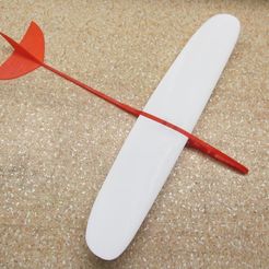 IMG_0630.jpg Mela.  Plane model. Glider, airplane.