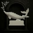 jpg_frame_02.jpg Stylized Ancient Sturgeon Fish Carving – Perfect 3D Model AS1250