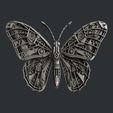 P561.jpg Butterfly Steampunk