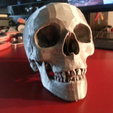 Capture d’écran 2017-07-26 à 11.30.22.png Free STL file Human Skull・3D print model to download