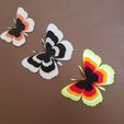 20180528_144422.jpg STL file butterflies・3D printing model to download, catf3d