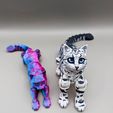 336967643_534803725480857_7849843261527859600_n.jpg Archivo STL Flexi Cat, gatito articulado para imprimir・Modelo imprimible en 3D para descargar