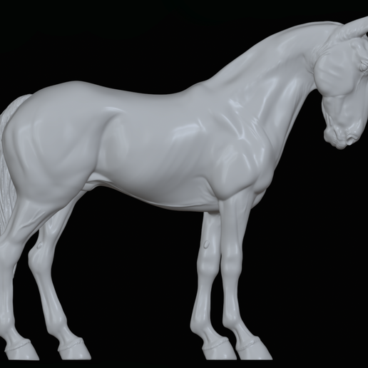 IMG_5073.png Mule,warmblood, and Roman nose horses