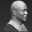 9.jpg Dr Dre bust ready for full color 3D printing