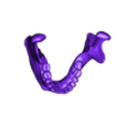 maxilar  .stl Bio-Schädel 3D Modell