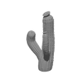 2.png Cactus and prickly pear cactus with supports