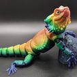 Bearded Dragon Articulated Toy, Print-In-Place Body, Snap-Fit Head, Cute Flexi