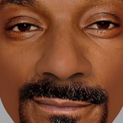 snoop-dogg-bust-ready-for-full-color-3d-printing-3d-model-obj-mtl-fbx-stl-wrl-wrz (12).jpg STL file Snoop Dogg bust ready for full color 3D printing・Template to download and 3D print, PrintedReality