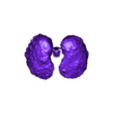 Human Lung Cancer. blend.stl Human Lung Cancer