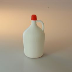 IMG_5844.JPG Fichier STL gratuit Carboy・Design pour imprimante 3D à télécharger