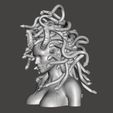 傲游截图20190615182406.jpg Medusa Head