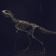 DSC_0271_Cults.jpg Life size baby T-rex skeleton - Part 02/10
