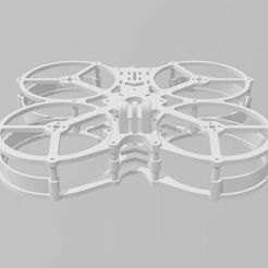 2023-11-14_085849.jpg 2.5" Cinewhoop