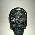 IMG20201203222959.jpg Voronoi Skull 3D print model