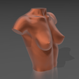 08.png 3D file Bust 08・3D printable model to download