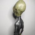 IMG_20230809_220821.jpg Alien