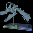 Schermafbeelding_20221207_085154.png Brachiosaurus Skull