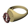Bone-link-Oval-ring-size7to10-10.jpg Bone link insert signet ring US sizes 7to10 3D print model