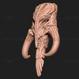 10.jpg 3D file Mythosaur Skull High Quality - Mandalorian Starwars Movie・Template to download and 3D print