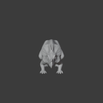 Notoceratops_right.png Notoceratops
