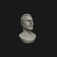 02.jpg Freddie Mercury 3D printable portrait
