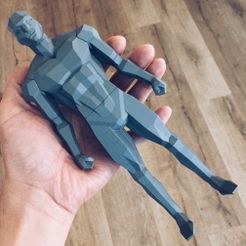 LPMF_14x14_72dpi_02.jpg Файл STL Low Poly Figure・3D-печатная модель для загрузки