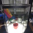 IMG_20241206_172510961.jpg flying hummingbird lamp