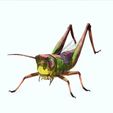 8j.jpg DOWNLOAD Grasshopper 3D MODEL - ANIMATED - INSECT Raptor Linheraptor MICRO BEE FLYING - POKÉMON - DRAGON - Grasshopper - OBJ - FBX - 3D PRINTING - 3D PROJECT - GAME READY-3DSMAX-C4D-MAYA-BLENDER-UNITY-UNREAL - DINOSAUR -