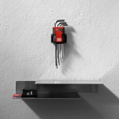 IN005_bestückt-1_2.jpg Free 3D file Wall Mount for L Series I IN005・3D printing design to download