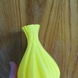 IMG_20180218_115157.jpg Sinew vase #1
