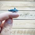 IMG_2182.jpeg Mini Shark