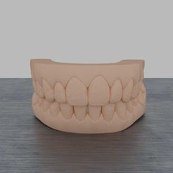 b.jpg Full Dental model