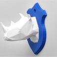 a_XJ1I3IFIQ6.jpg Rhino Head