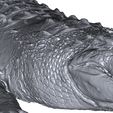 croco-4.jpg STL file Crocodile・3D print design to download, Phil-creation