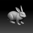rab1.jpg rabbit 3d model- realistic rabbit - decorative rabbit