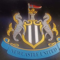 Newcastle-United.jpg Newcastle United Coat of Arms with Keyhole for Walls