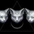 1-0.jpg Mystic Cat