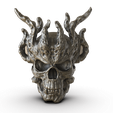 untitled.145.png Tentaculos Skull.