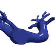 chd5.png.ac88a4d066da5e455321e6374dd6e82d.png 3D Model of Pulmonary Arteries (Fontan Procedure)