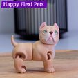 IMG_2869.jpg American Bully dog - flexi print in place toy by Happy Flexi pets (Updated!)