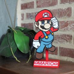Mario Stand Face.jpg STL-Datei Mario stand decoration plate・Design für 3D-Drucker zum herunterladen