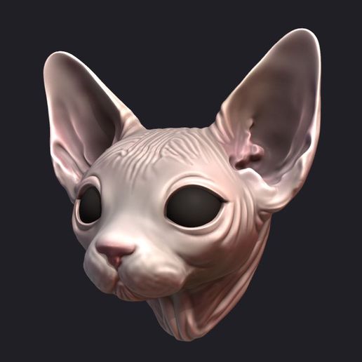 Sphinx cat