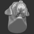 17.jpg English Mastiff head for 3D printing
