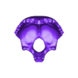 2.stl Anatomical skull / Cráneo anatómico