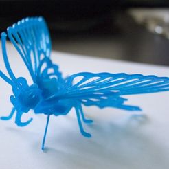 CRW_5045crop_display_large.jpg Butterfly 3D Printable