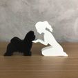 WhatsApp-Image-2023-01-06-at-19.47.17-1.jpeg Girl and her Shih tzu (tied hair) for 3D printer or laser cut