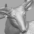 deer_1_b.png Deer head skulpture