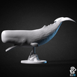 sperm_whale.png Кашалот - животное