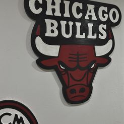 Чикаго.jpg Chicago Bulls basketball emblem