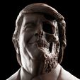 a.99338777959.jpg Donald Trump Skull Bust